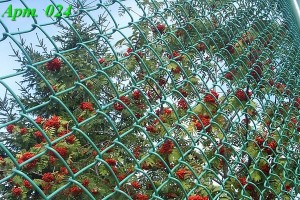 Забор из сетки рабица